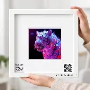 The Battlefield Glories 